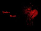 Broken heart - 5. kapitola - Čísla